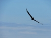 110115_isla_parida17
