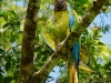 110115_isla_parida18