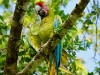 110115_isla_parida20