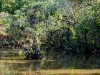 110115_isla_parida_otherside18