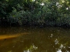 110115_isla_parida_otherside41