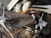 110115_isla_parida_otherside49