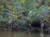 110115_isla_parida_otherside65