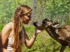 110115_panama_deer03