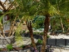 110118_flowershow_boquette22