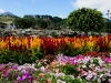 110118_flowershow_boquette25