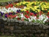 110118_flowershow_boquette26