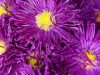 110118_flowershow_boquette33