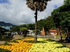 110118_flowershow_boquette47