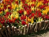 110118_flowershow_boquette48