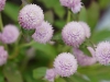 110118_flowershow_boquette54