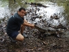 110122_crocodil_puerto_jiminez27