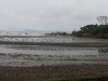 Puerto Jiminez