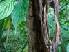 110123_bolita19