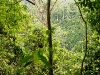 110123_bolita22