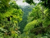 110123_bolita27