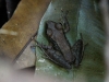 110123_bolita30