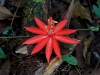 110123_bolita33