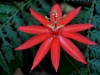 110123_bolita34