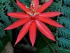 110123_bolita35