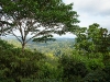 110123_bolita38