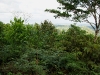 110123_bolita40
