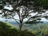 110123_bolita41