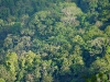 110123_bolita43