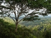 110123_bolita44