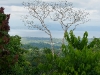 110123_bolita45