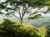 110123_bolita47