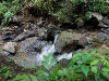 110124_bolita19