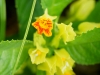 110124_bolita24