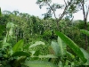 110124_bolita25