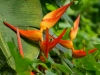 110124_bolita28