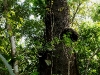 110124_bolita36