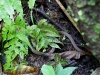 110124_bolita40