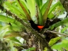 110124_bolita41