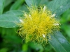 110124_bolita42