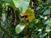 110127_bolita35