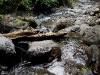 110128_bolita22