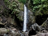 110128_bolita24