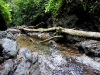 110128_bolita26