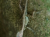 110128_bolita29