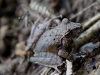110128_bolita31