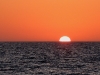 110204_booze_cruise16