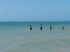 110204_key_west07