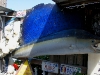 110204_key_west26