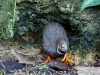 110205_butterflygarden_key_west36