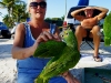 110206_beach_key_west06